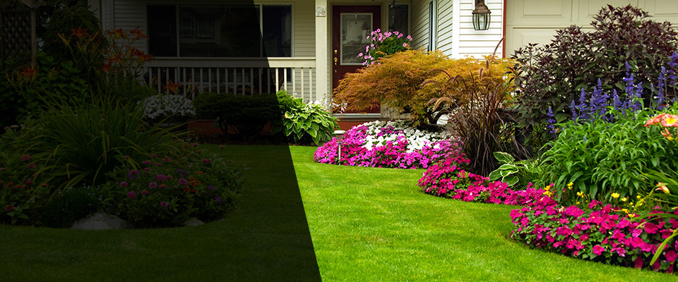 Avon Landscapers