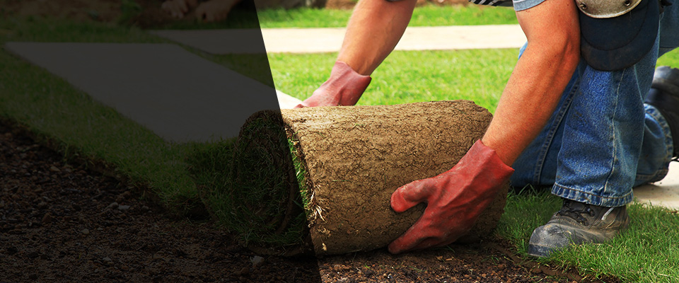 Avon Landscapers